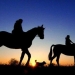 Burgenland im Galopp