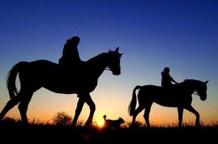 Burgenland im Galopp